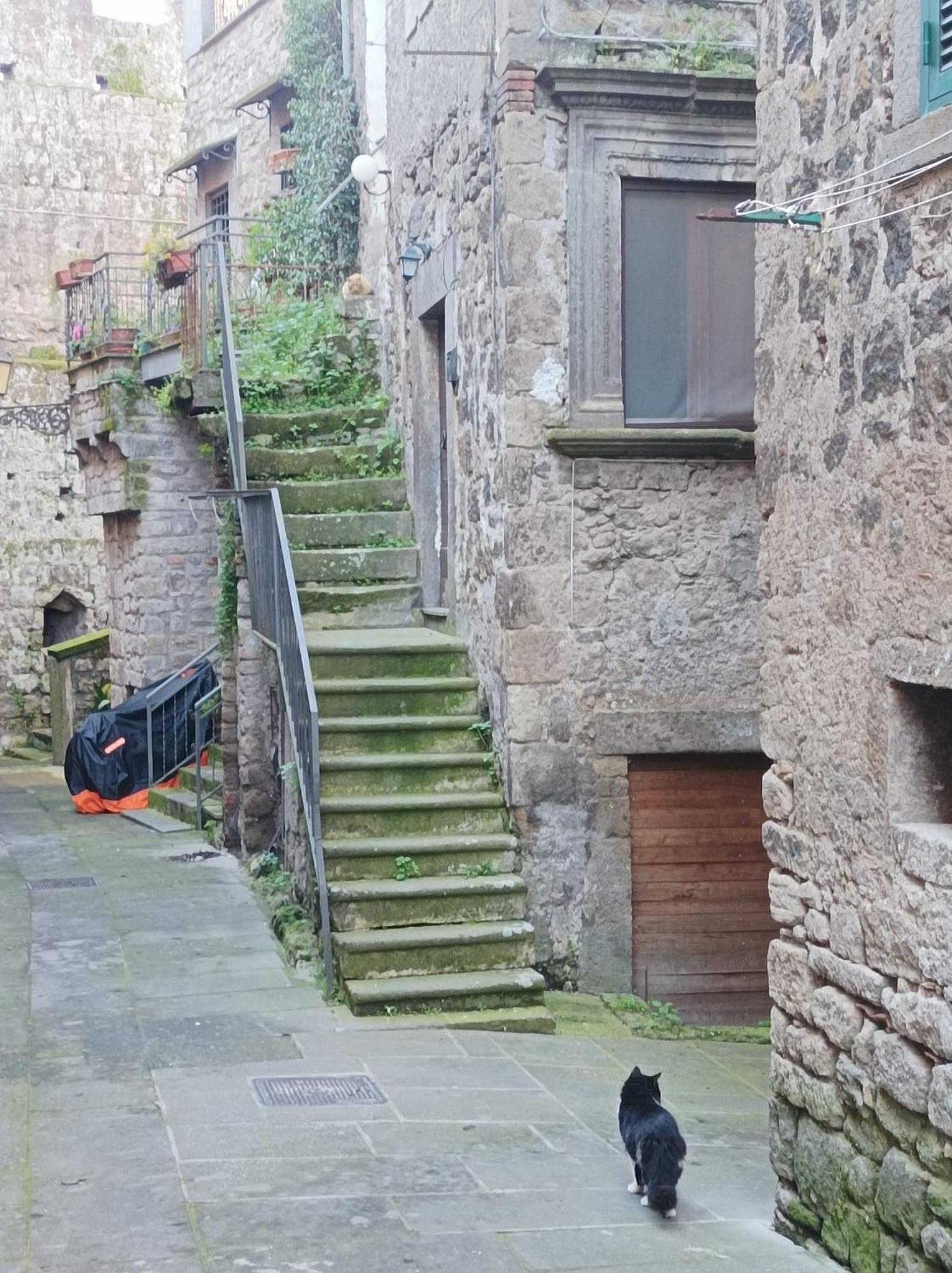 Sospesi Nel Borgo Vitorchiano Luaran gambar